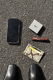 THE RAE STUD CARD WALLET - SNAKESKIN